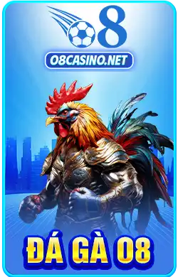 O8 đá gà
